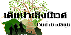 Relateds Banner-69fd339b3b287.png